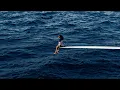 SZA - Ghost in the Machine (Audio) ft. Phoebe Bridgers