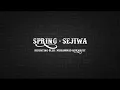 SPRING - SEJIWA (LIRIK)