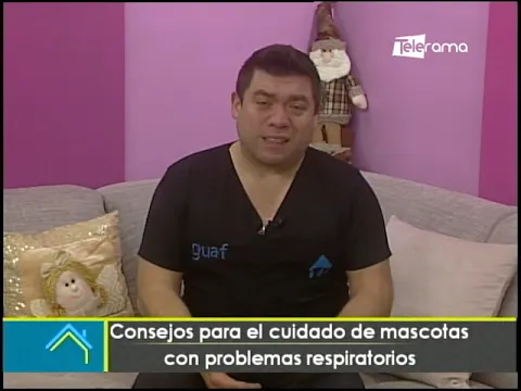 Consejos para el cuidado de mascotas con problemas respiratorios