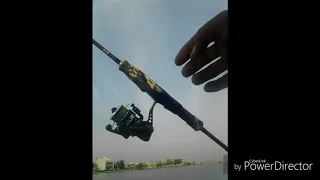 Rod storm discovery 1-4lbs on action