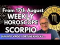 Scorpio Weekly Horoscope August 17-23 The Secret Connection Supporting Your Goals