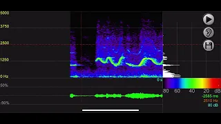 SpectraMania Demo - Spectrum Analyzer Software for