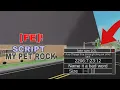 FE Script MY PET ROCK - Size ROCK