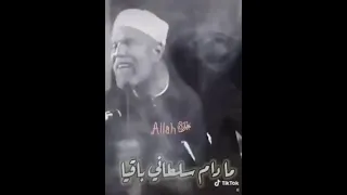 الراحه النفسيه مع   مولانا الشيخ الشعراوي    الشعراوي  حديث ق دسي دندنها