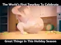 Thanksgiving dancing turkey