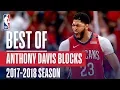 Anthony Davis s Best Blocks of the 2017-2018 NBA Regular Season