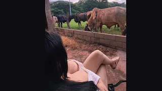 Mi RUTINA como CAMPESINA y GANADERA 