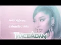Download Lagu Test Drive (Trace Adam Extended Mix) - Ariana Grande