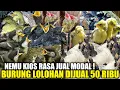 Download Lagu TUMPAH RUAH ! RATUSAN EKOR BURUNG LOLOHAN DIJUAL SEMENA MENA HARI INI