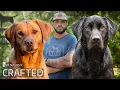 How A Simple Dog Training Hobby Became a Business Sensation Crafted