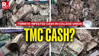 termite infested cash in college union lakhs in bags tmc under fresh fire exclusive report