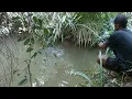 Download Lagu DI BAWA PANDANAN INI MAS BRO BERMACAM IKAN PADA NGUMPUL
