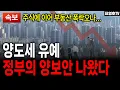 Lagu ‘집값 폭락오나...’ 난리 난 현실...