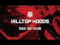 Download Lagu Hilltop Hoods - Chase That Feeling (Official Lyric Video)