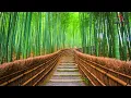 Whispers of Kyoto | Peaceful Japanese Traditional Instrumental with Koto & Shakuhachi
