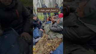 The Escape Trip To Europe Italy A True Story Share Your Opinion And Story With Us Migration 