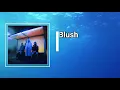 Wolf Alice - Blush (Lyrics)