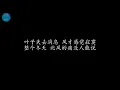 爱错 王力宏 (歌词版)