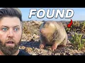 5 More Extinct Animals Found in the Last 15 Years