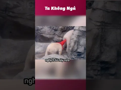 Hoá ra bà mẹ nào cũng như nhau 🐘 #takhongngu