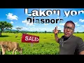 Lagu Yon diaspora achete preske demi karo tè pou kay retrèt li Ayiti
