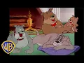 Download Lagu Tom \u0026 Jerry | Best of Spike 🐶 | Classic Cartoon Compilation | @wbkids​