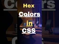 hex color How to use hex color in css