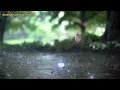Download Lagu Intrument Penenang Hati | Penyejuk jiwa | Musik relaksasi  Instrumen indah | Penyejuk Hati #music