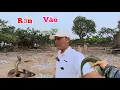 Lagu Rắn Khổng Lồ Vào Vườn Và Món Quà Cho Ngôi Nhà Mới Xây....