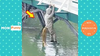 فيديو مضحك ومضحك حياة الناس 68 حاول ألا تضحك مقاطع فيديو مضحكة 2024 