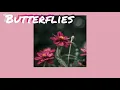 Download Lagu [THAISUB] Butterflies - DaneAmar แปลเพลง