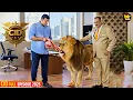 Lagu ACP प्रदुमन और दया ने अपने ऑफिस में लाया शेर | CID | सी.आई.डी | Latest Episode 2025 | Crime Story