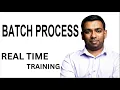 Batch Process - IT Business Analyst