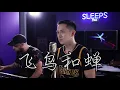 Download Lagu 飛鳥和蟬 - 任然 (Jason Chen Cover)