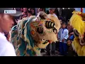 Download Lagu Barongsai - nirwana - burok pkc live kalimukti pabedilan cirebon 09 april 2025‎⁨@PKCOFFICIAL⁩ 