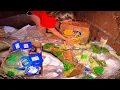 We Scored An INSANE Amount Free Food While Dumpster Diving