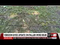 Verizon responds to concerns over wires tangled across Springfield yard