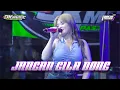 Download Lagu JANGAN GILA DONG - DEVI AGUSTIN - DK MUSIC MP3