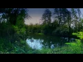 Relaxing River Ambience 🌊 Nature Sounds for Sleep & Stress Relief (3 Hours, 4K)