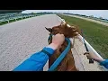 Download Lagu NEW RECORD!!! 1. Place, Graded 3 Race 1400 m |1:25:7 | Zwegat (GER) | Kincsem park, Budapest | GoPro