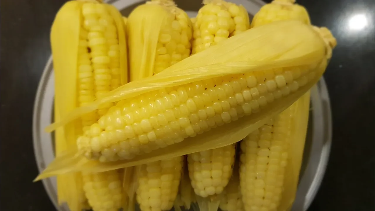 옥수수 삶기