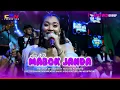 Download Lagu MABOK JANDA || VOC. AYU WD || AYU WD GROUP || CIPAKEM - KUNINGAN 1 JUNI 2025