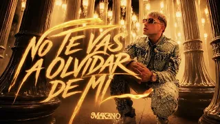 Makano - No Te Vas A Olvidar De Mí (Visualizer)