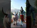 Download Lagu Mor Mahadev Baila ma Chad Ke Damru Bajata aavega🙏🙏🙏🙏🙏🙏🙏🙏🙏🙏🙏🙏🙏🙏🙏