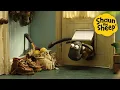 Download Lagu Sneaky Sheep🐑 Shaun the Sheep 🐑 - Cartoons for Kids 🐑 Full Episodes Compilation [1 hour]