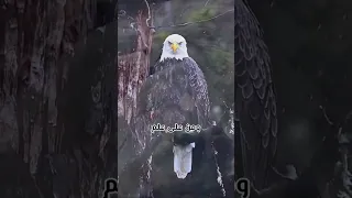 نحن لا نقطع صلة الرحم بل نقطع خبث القريب والغريب وصاحب السوء وذو الوجهين 