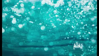 آية الكرسي مولانا كورتش 