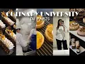 Download Lagu CULIARY UNIVERSITY IN PARIS| French pastry, entremets,
