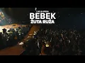 Download Lagu Željko Bebek - Žuta ruža (Live @ Arena - 50 godina karijere)