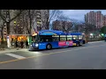 NYCT Bus New Flyer XD40s on the Bx25 Bx26 Bx30 and Bx38 in Western Co Op City More